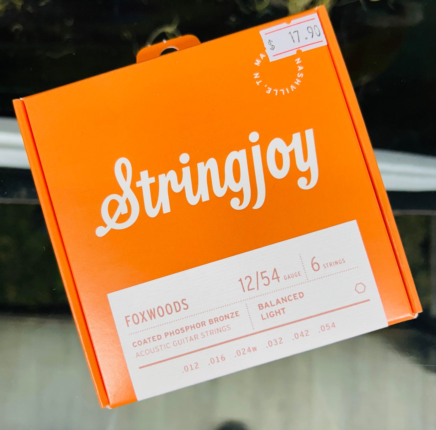 Stringjoy 12-54 Light Gauge Foxwoods - Coated Phosphor Bronze Acoustic Guitar Strings