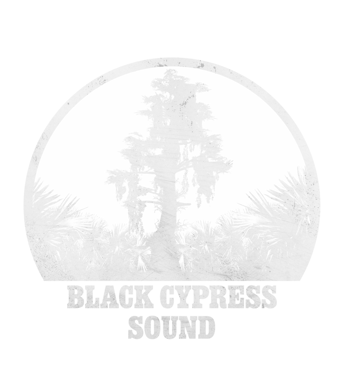 Real studio photo for Black Cypress Sound
